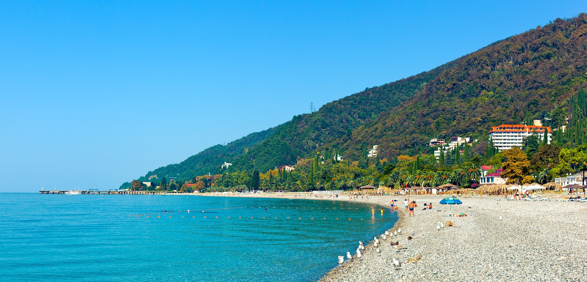 Зачем ехать в Гудауту и почему там лучшие пляжи в Абхазии?